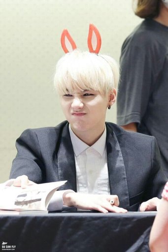 suga teddy bear