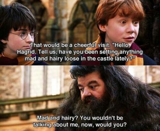 Hagrid is mad and hairy! 😂😂 | Harry Potter Amino