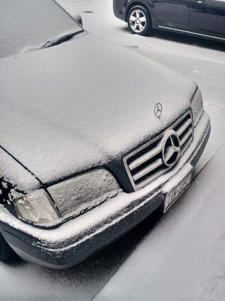 My Mercedes C280 (w202) Garage Amino