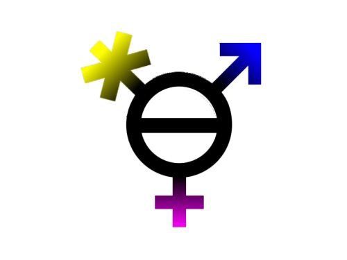 gender flux logo