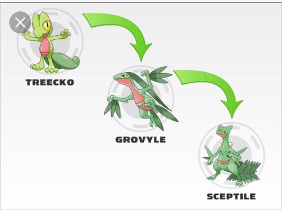 Which Evolution Is The Best Pokemon Amino