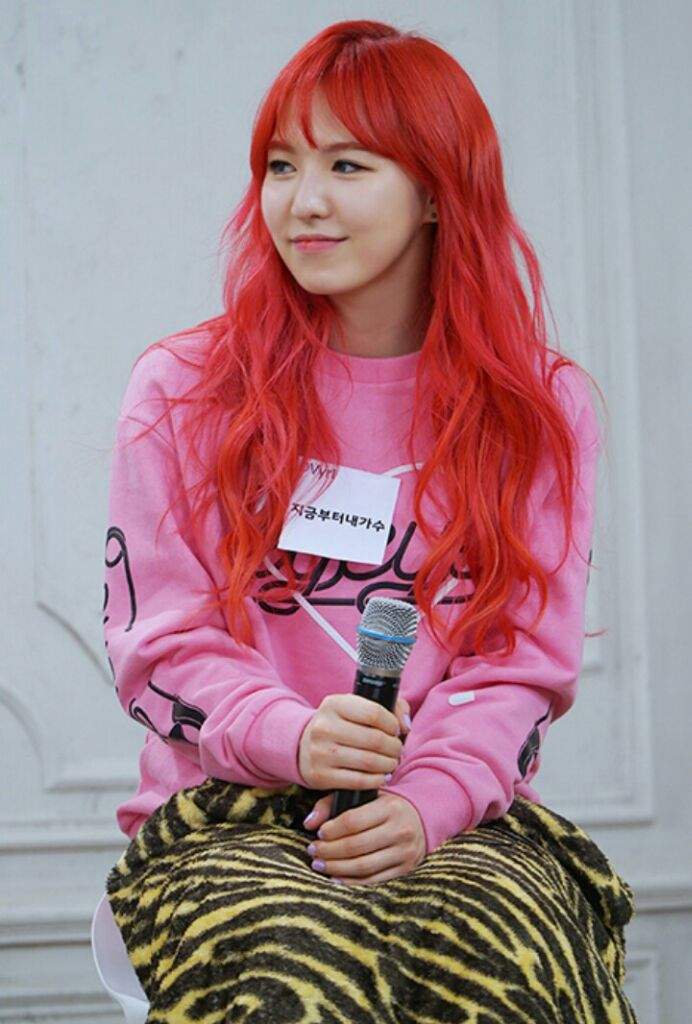 Red Velvet's hairstyle (2016) .