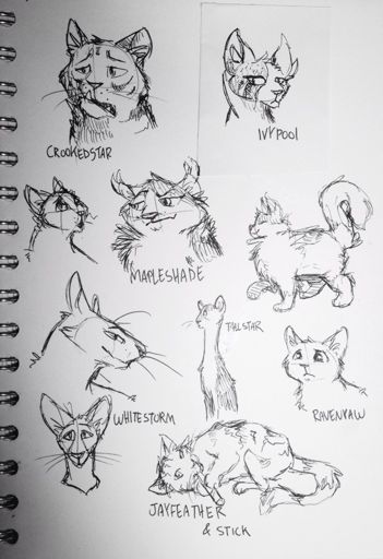 Warrior doodles | Warriors Amino