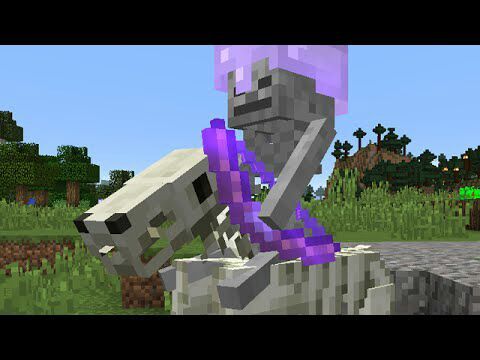 Skeleton Horse | Minecraft Amino