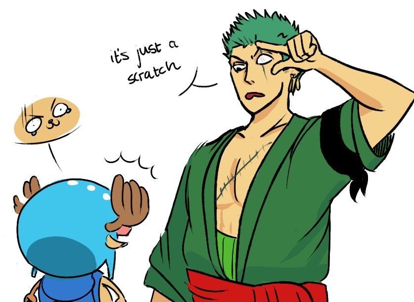 Zoro Closed Eye | Anime Amino