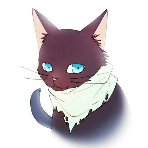 Nekos •anime• Amino