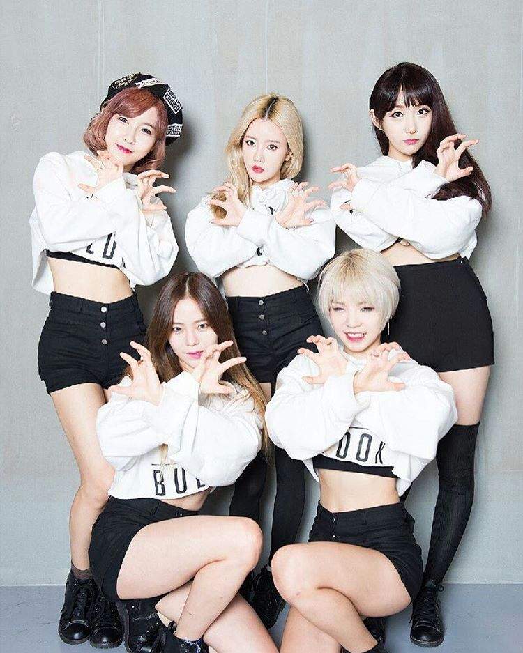 Bulldok | K-Pop Amino