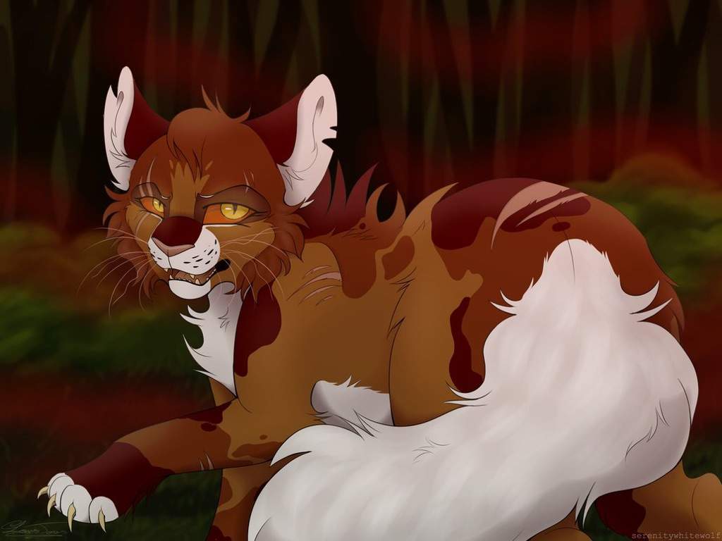 Mapleshade | Warriors Amino