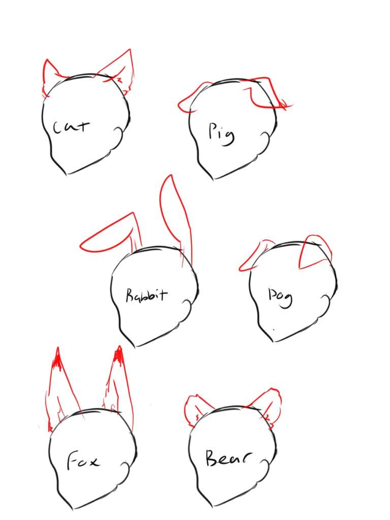 How to draw Neko | Anime Art Amino