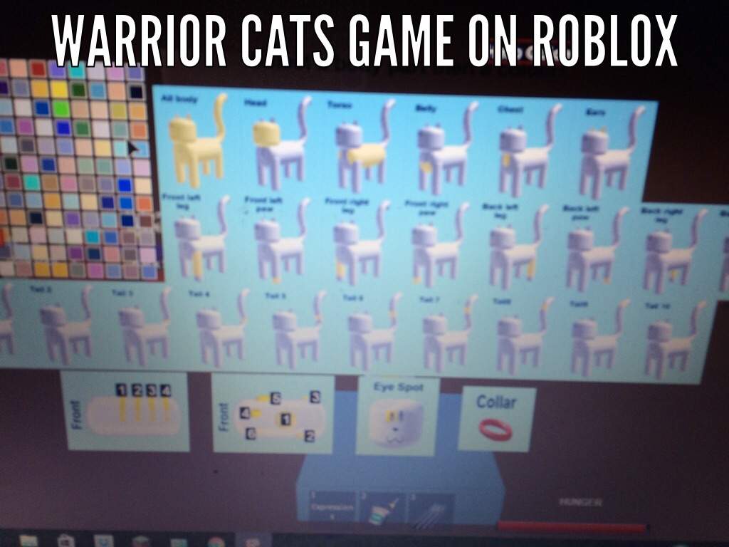 Morph Menu On Roblox Warrior Cats Warriors Amino