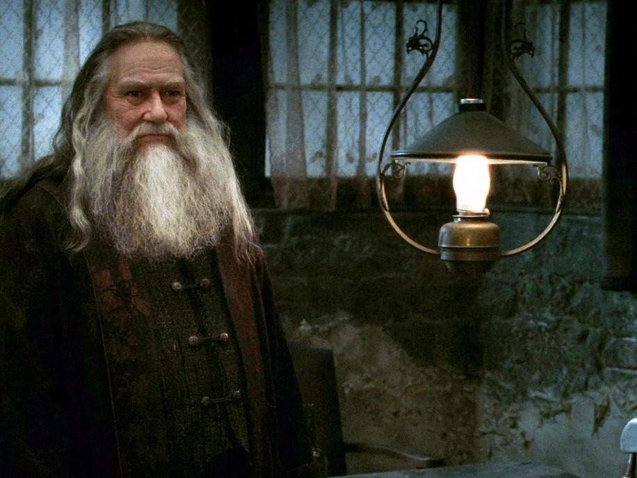 Newt's Obscurial Theory😶!(spoilers) Harry Potter Amino