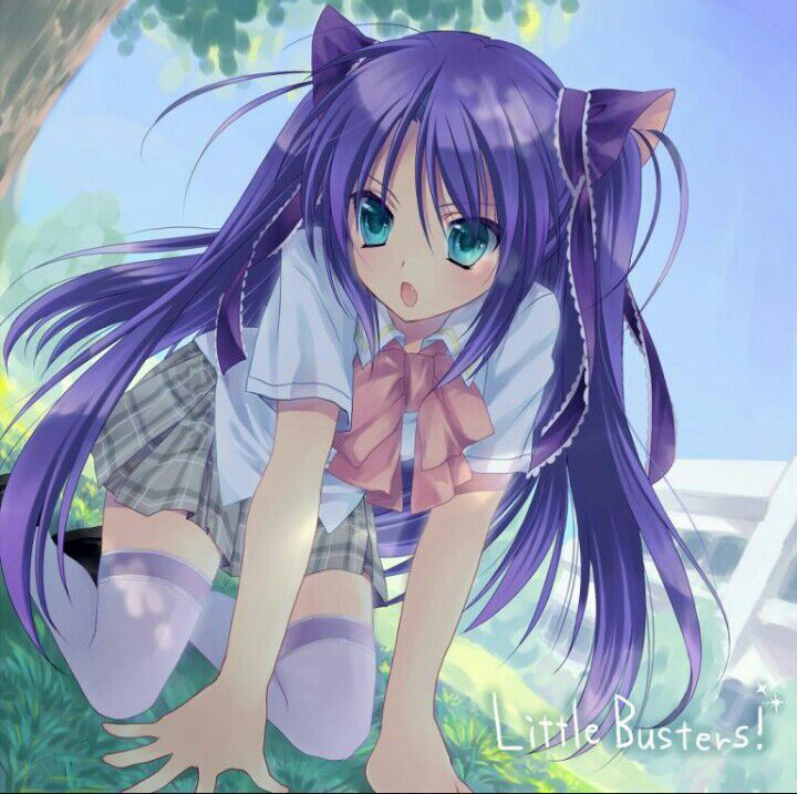 Nekos Kawaii Anime Amino