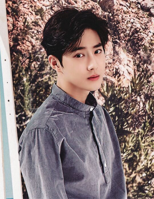 EXO Suho 2017 Season Greetings | EXO (엑소) Amino