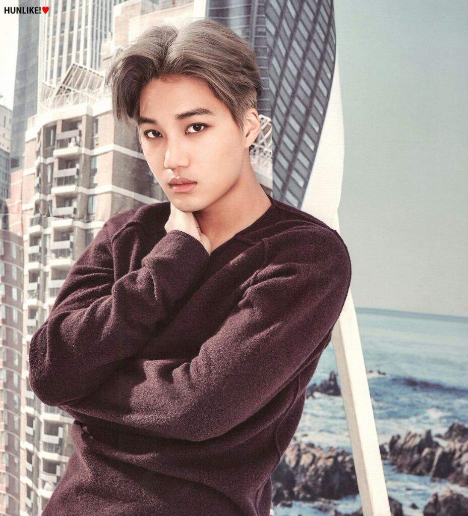 KAI 2017 SEASONS GREETINGS K-Pop Amino