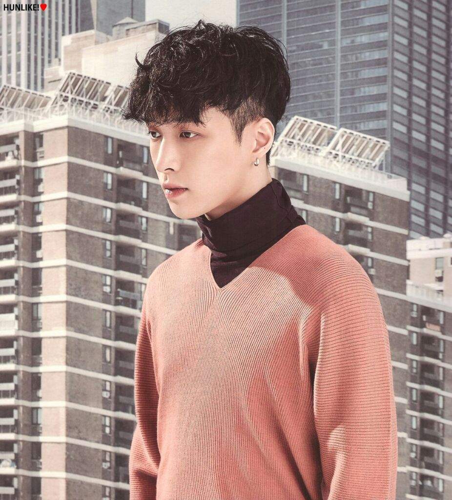 LAY 2017 SEASONS GREETINGS | K-Pop Amino