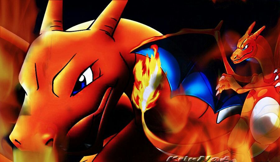 Top coolest charizard wallpaper | Pokemon GO Amino