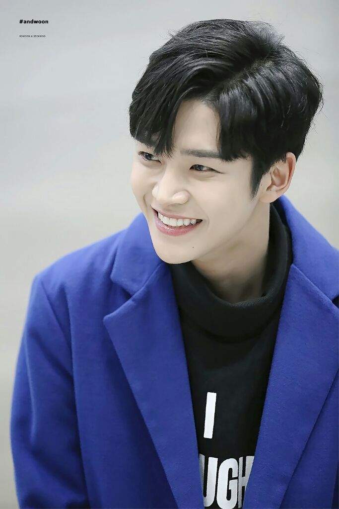 rowoon kim seokwoo wiki k pop amino rowoon kim seokwoo wiki k pop amino