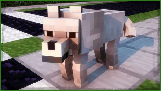 Lobo | Wiki | Minecraft Amino • Crafters Amino