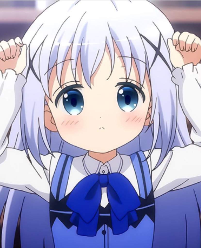 chino-kafuu-anime-amino