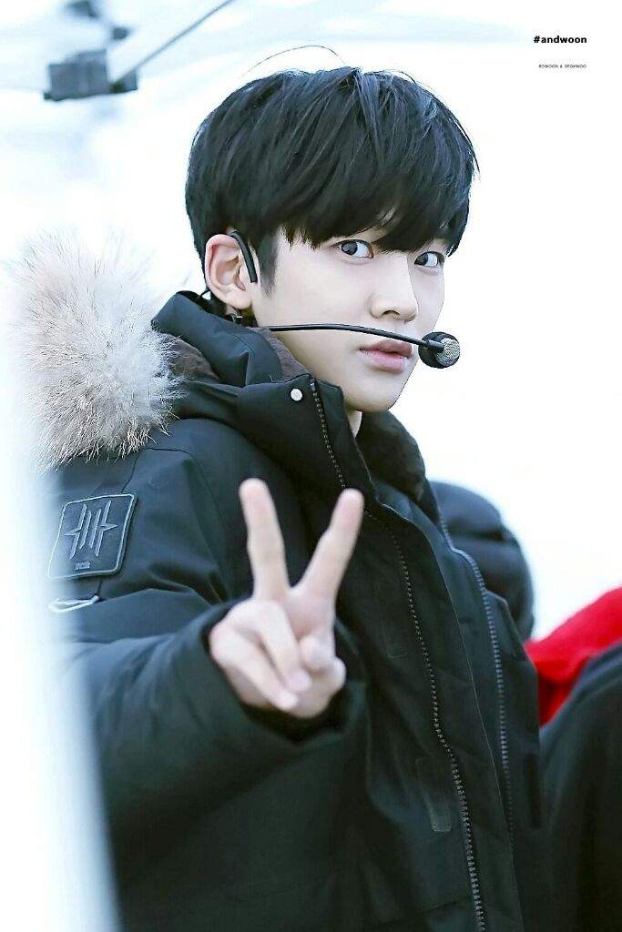 rowoon kim seokwoo wiki k pop amino rowoon kim seokwoo wiki k pop amino