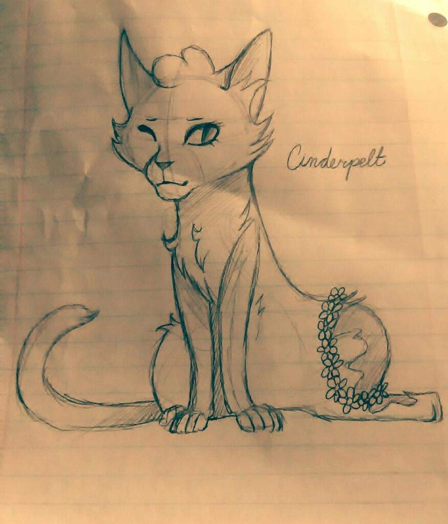 Warrior Cats Sketches | Art Amino