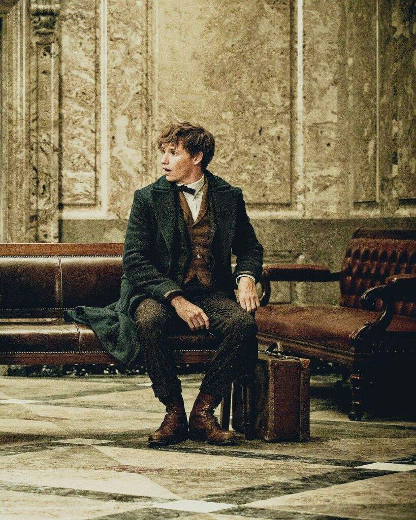 Newt Scamander Wiki •Harry Potter• Español Amino