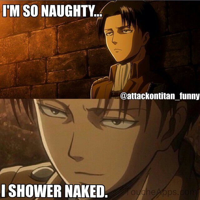 XD levi is theeee BeSttt !¡ | Anime Amino