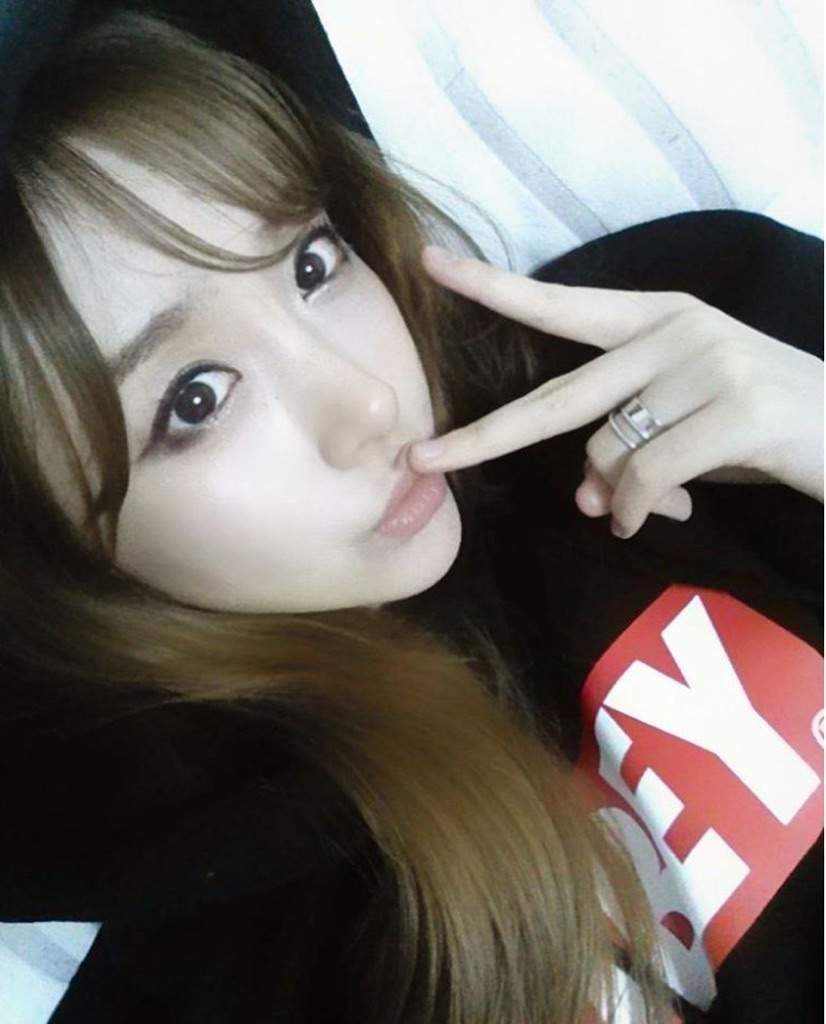 bulldok | Wiki | K-Pop Amino
