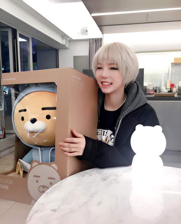 bulldok | Wiki | K-Pop Amino