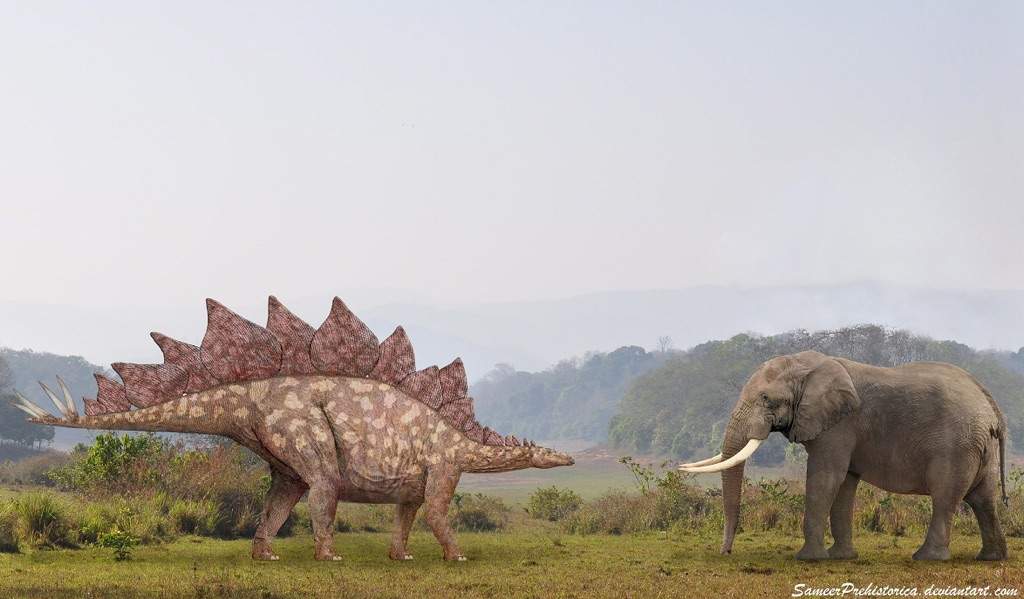 stegosaurus time period