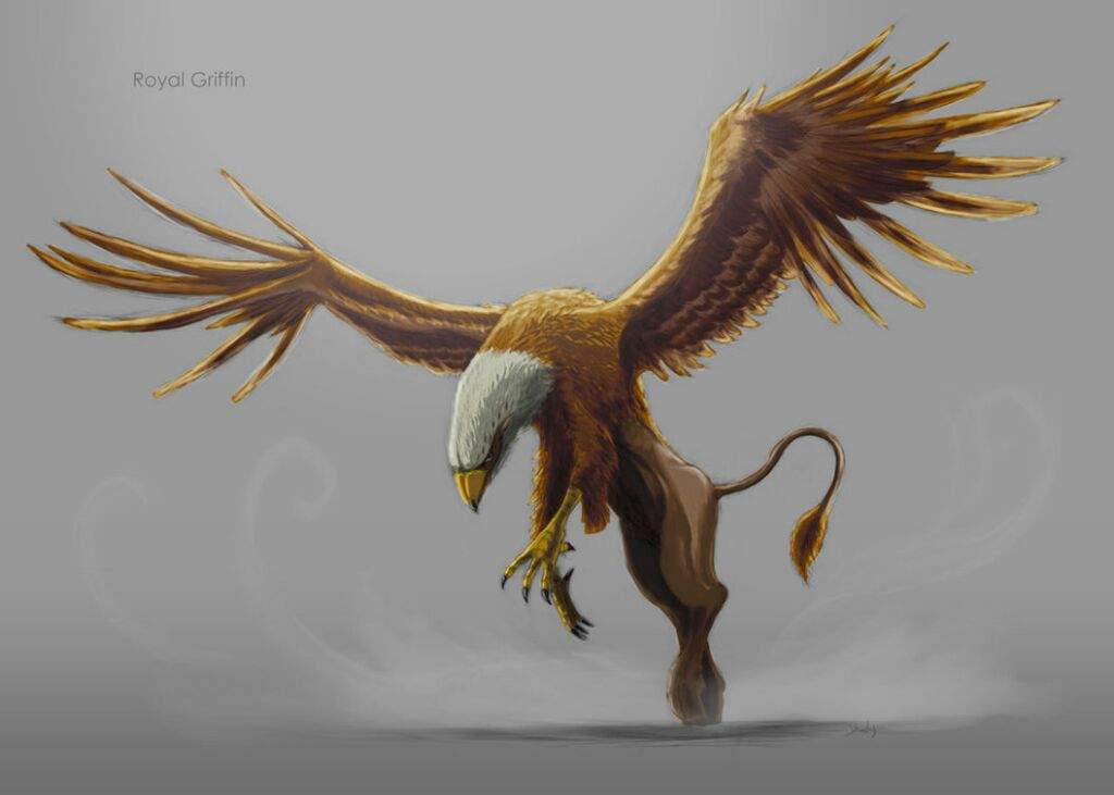 griffin mythical creature