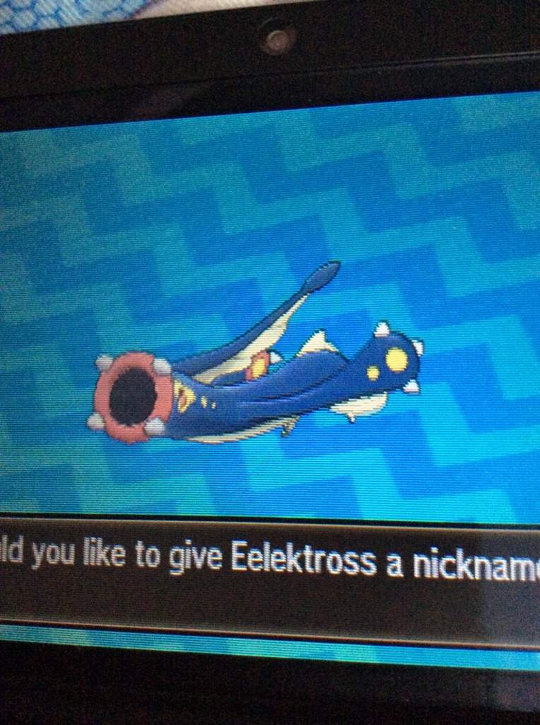 Island scan guide Pokéverse™ Amino