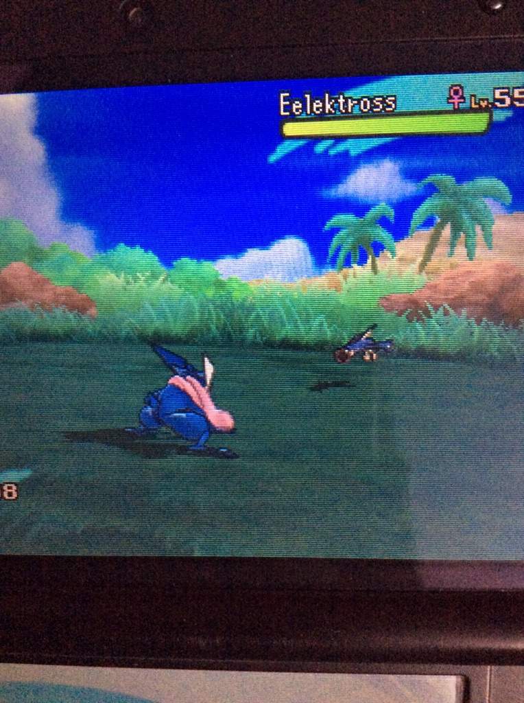 Island scan guide Pokéverse™ Amino