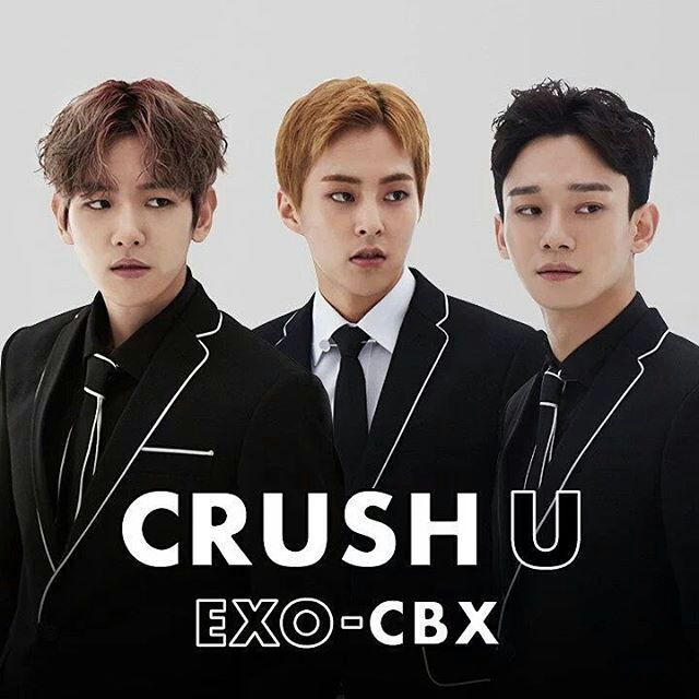 EXO ベッキョン crush u トレカ | www.carmenundmelanie.at