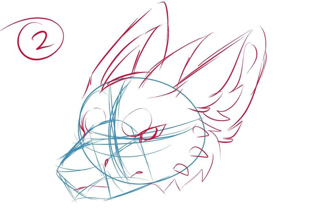 Dragon Head Tutorial Furry Amino