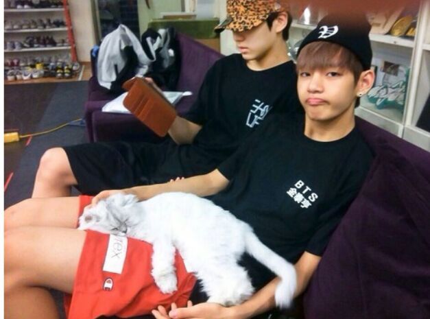 BTS with Pets 🐕 🐈 | ARMY's Amino