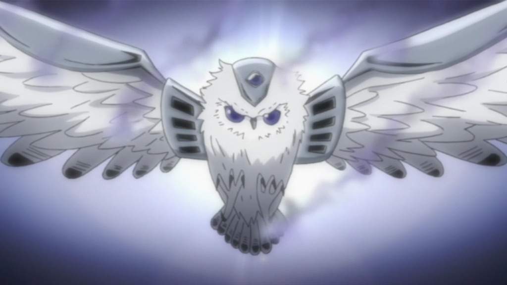 Owl Anime Anime Amino