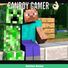 amino-★Oficial Amino Minecraft En Español★-c1cb142f