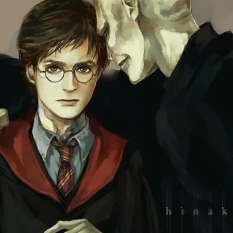 Harrymort | Wiki | Harry Potter Amino