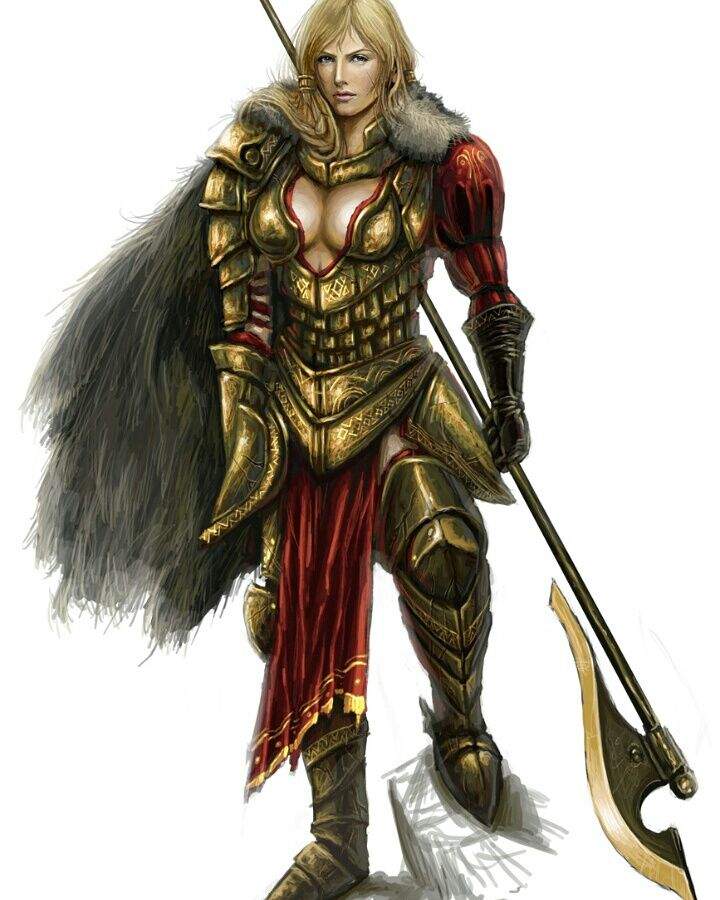 aika online paladin skills