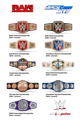 What are your thoughts on all of the championships in the WWE ...