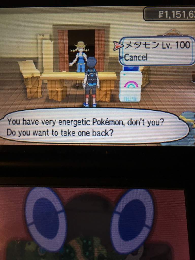 How to Breed for Shinies Faster! Pokémon Amino