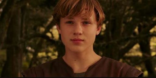 Pedro Pevensie | Wiki | The Chronicles of Narnia BR/PT Amino