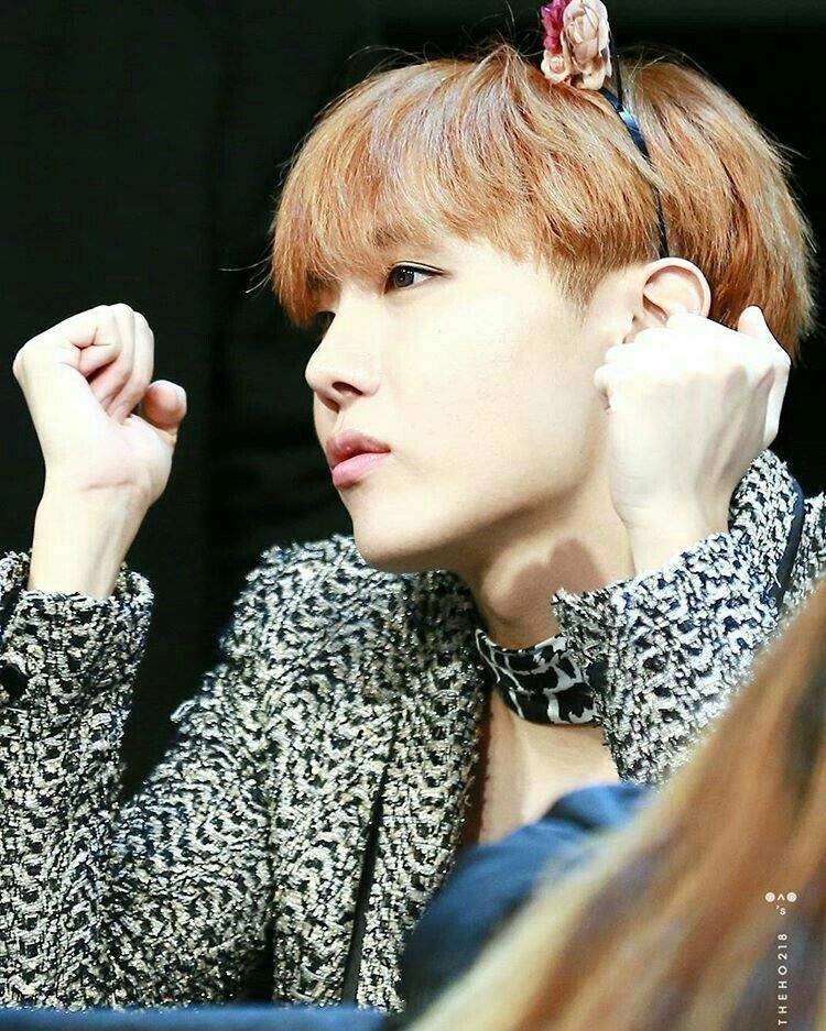 BTS as cute cats 💕 | ARMY's Amino