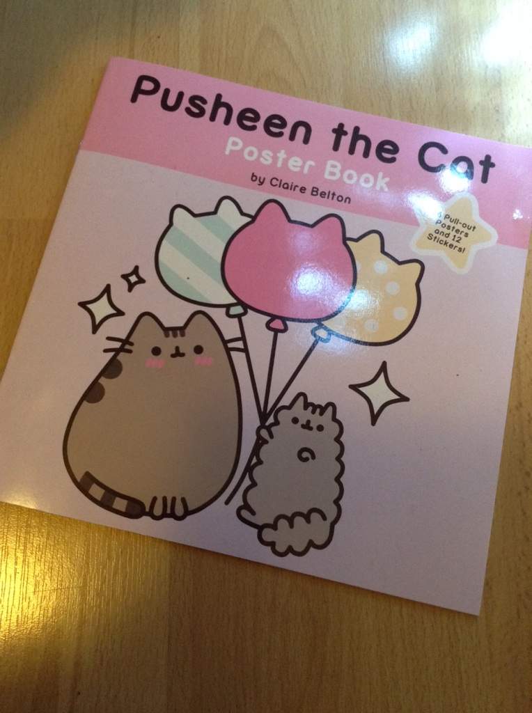 Pusheen The Cat Poster