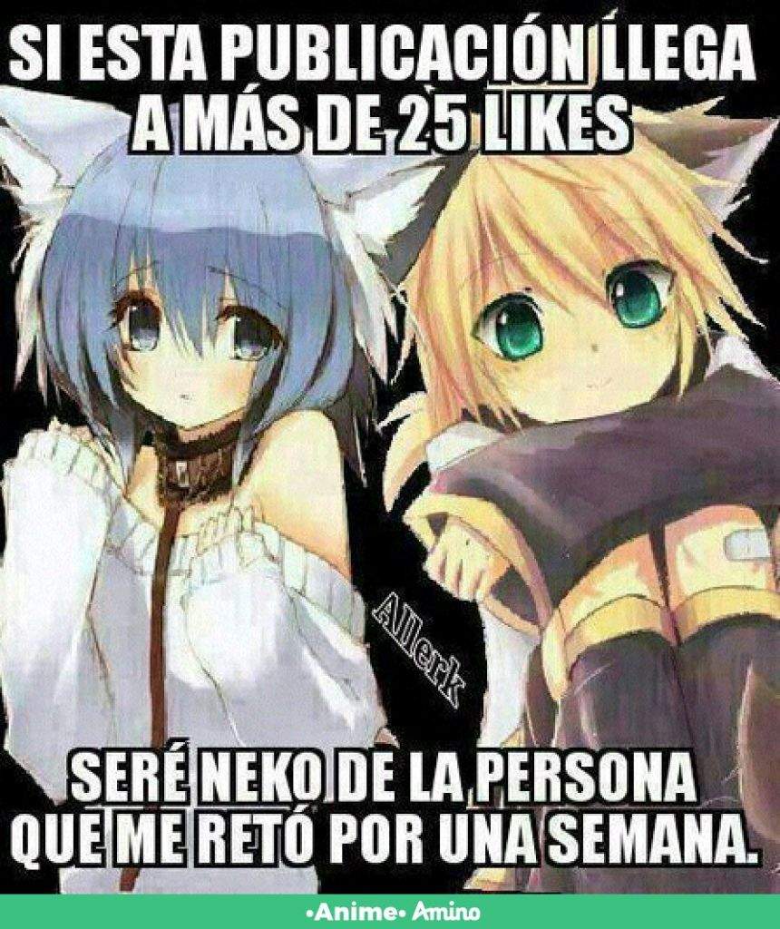 Los 5 Memes Mas Divertidos De Anime •anime• Amino