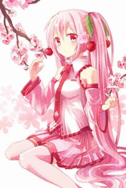 taito hatsune miku sakura