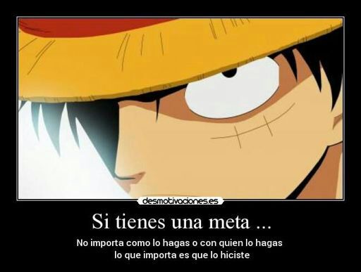 Frases | •One Piece• Amino