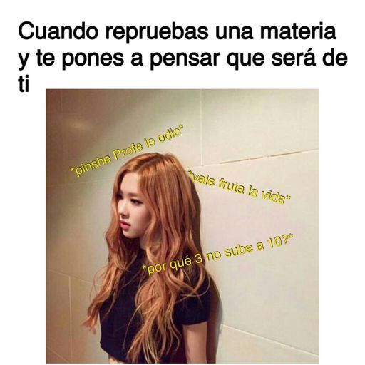 Memes De Blackpink 1 K Pop Amino