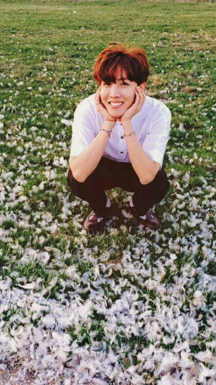 ¡J-Hope Quiero de nuevo tú sonrisa!  ARMY's Amino Amino